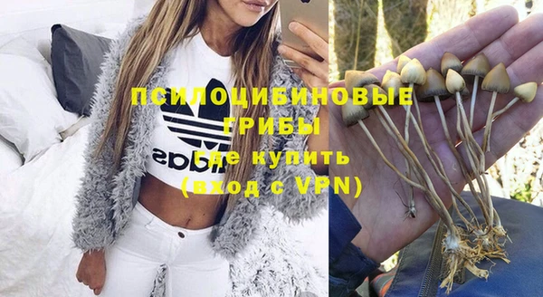 дурь Новодвинск
