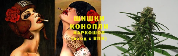 винт Дмитриев