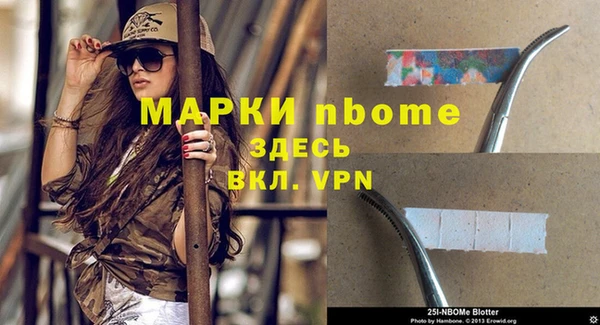 дурь Новодвинск