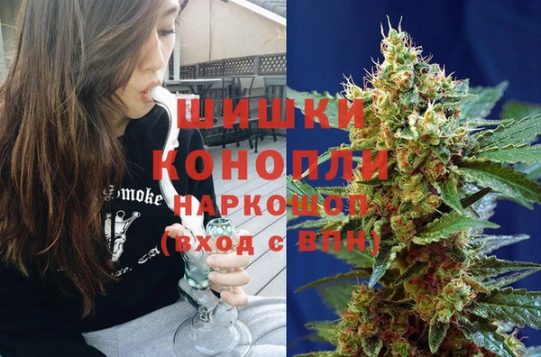 mdpv Новозыбков