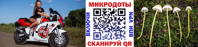 Галлюциногенные грибы Cubensis  купить наркотик  Чкаловск 